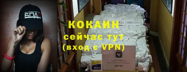 гидра Аркадак