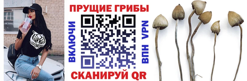 darknet официальный сайт Армянск Галлюциногенные грибы прущие грибы наркошоп